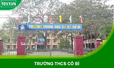 Lắp đặt 100m2 vách ngăn vệ sinh cho trường THCS xã Cổ Bì - Quảng Ninh