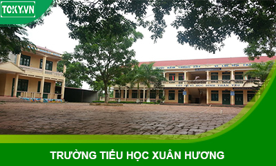 Lắp vách ngăn vệ sinh hpl trường tiểu học Xuân Hương