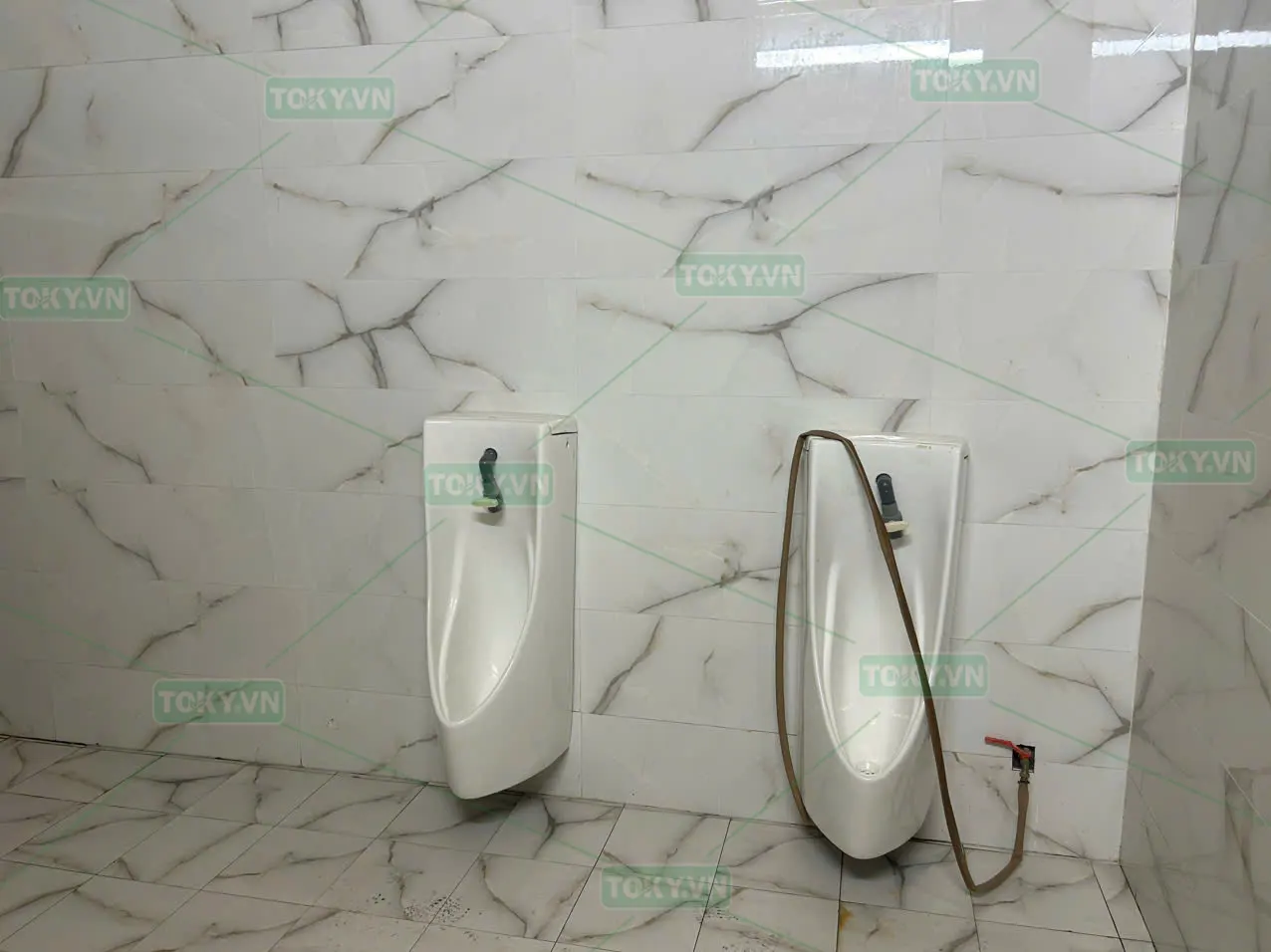 TOKY hoàn thiện 200m2 vách ngăn vệ sinh Compact cho Nhà máy Xi măng Xuân Sơn