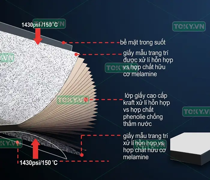 Tấm Compact HPL 18mm chuẩn 1430 psi - báo giá kho Toky 1 Cấu tạo và thành phần cốt lõi của tấm Compact HPL 18mm
